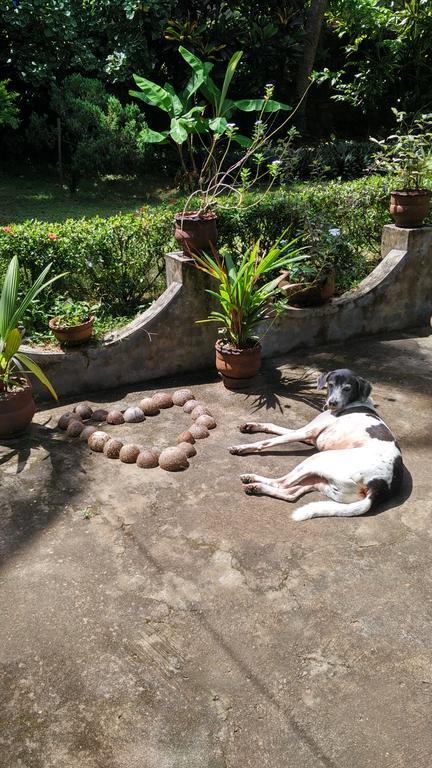 Arabian Soul Bed and Breakfast Varkala Exterior foto