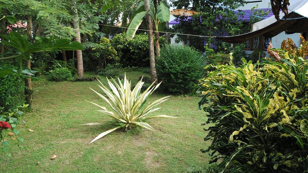 Arabian Soul Bed and Breakfast Varkala Exterior foto